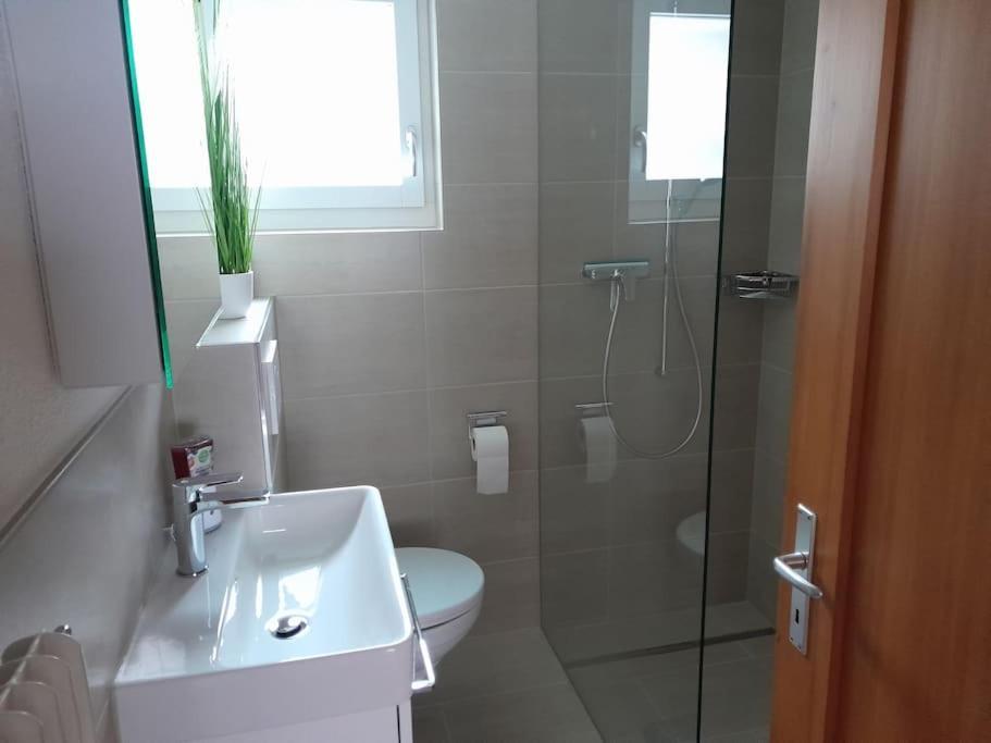 2 1/2 Zimmer Ferienwohnung Meiringen Zewnętrze zdjęcie